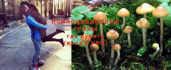 бутик Зеленокумск