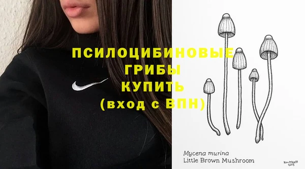 бутик Зеленокумск