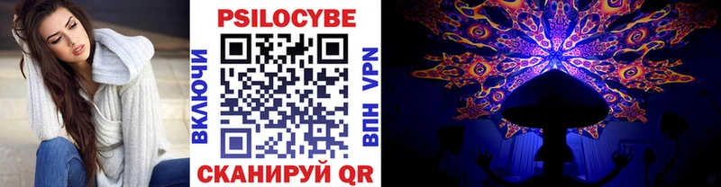 Галлюциногенные грибы GOLDEN TEACHER  Купить закладки  Ершов 