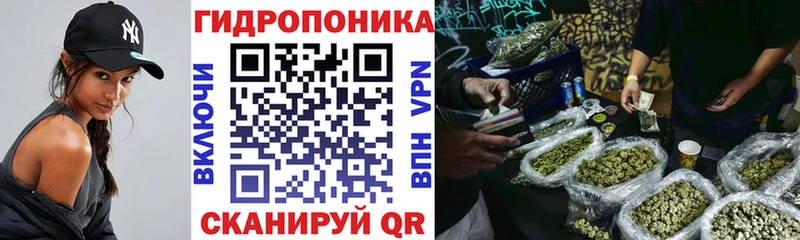 Купить  Ершов  Шишки марихуана тримм 